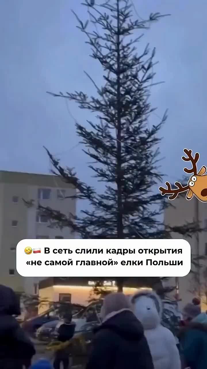 Польская ёлка переплюнула украинскую