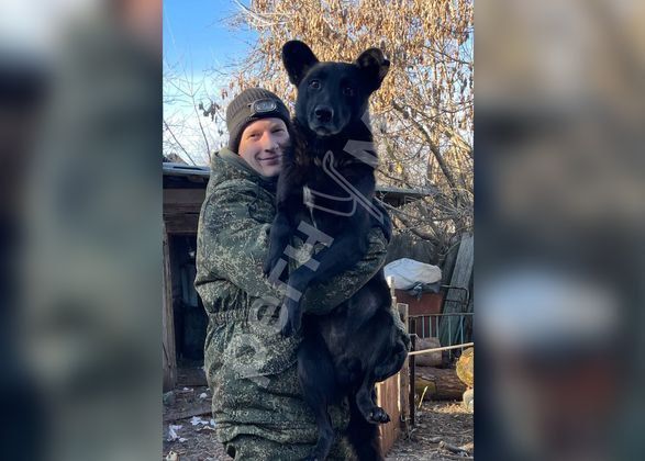 ������ ��������: ����������, ������� �� ����������� �����������, ���������� ��� ��� ������, ������� ����� � ����� �� ��������� �����