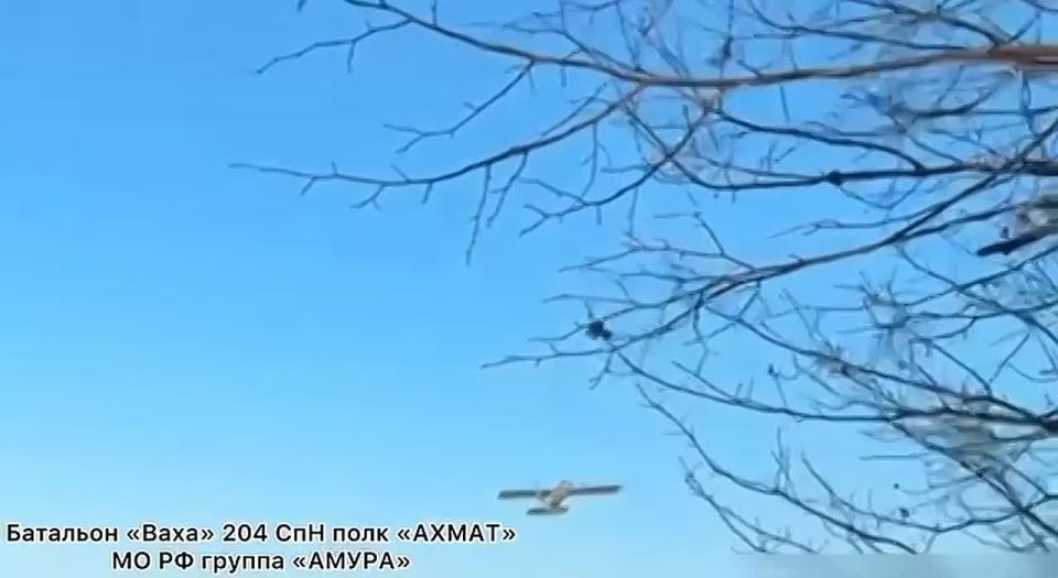 ����������� ������ ���������� ��� ��� � ������ �.�. ������ ������� �� ����������� �����������