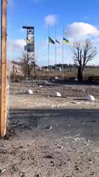 Хрен с этим Купянском, что там со стелой