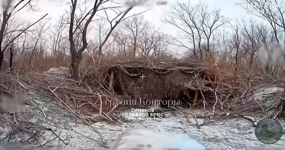 ��������� �������: ���� ��������-�������� � ���������