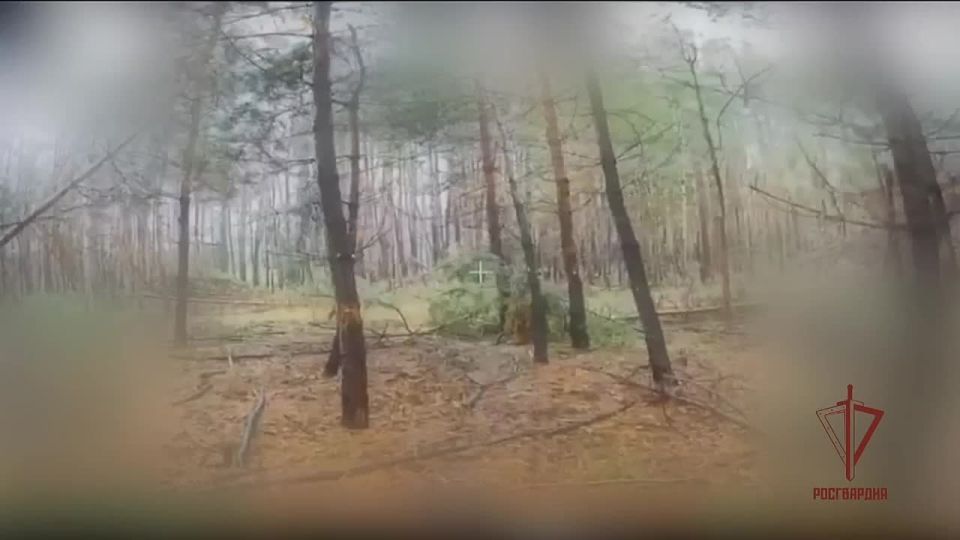 ����� ��������� ������� ���������� ���������� ��� ���������� �������� � ����������� �������