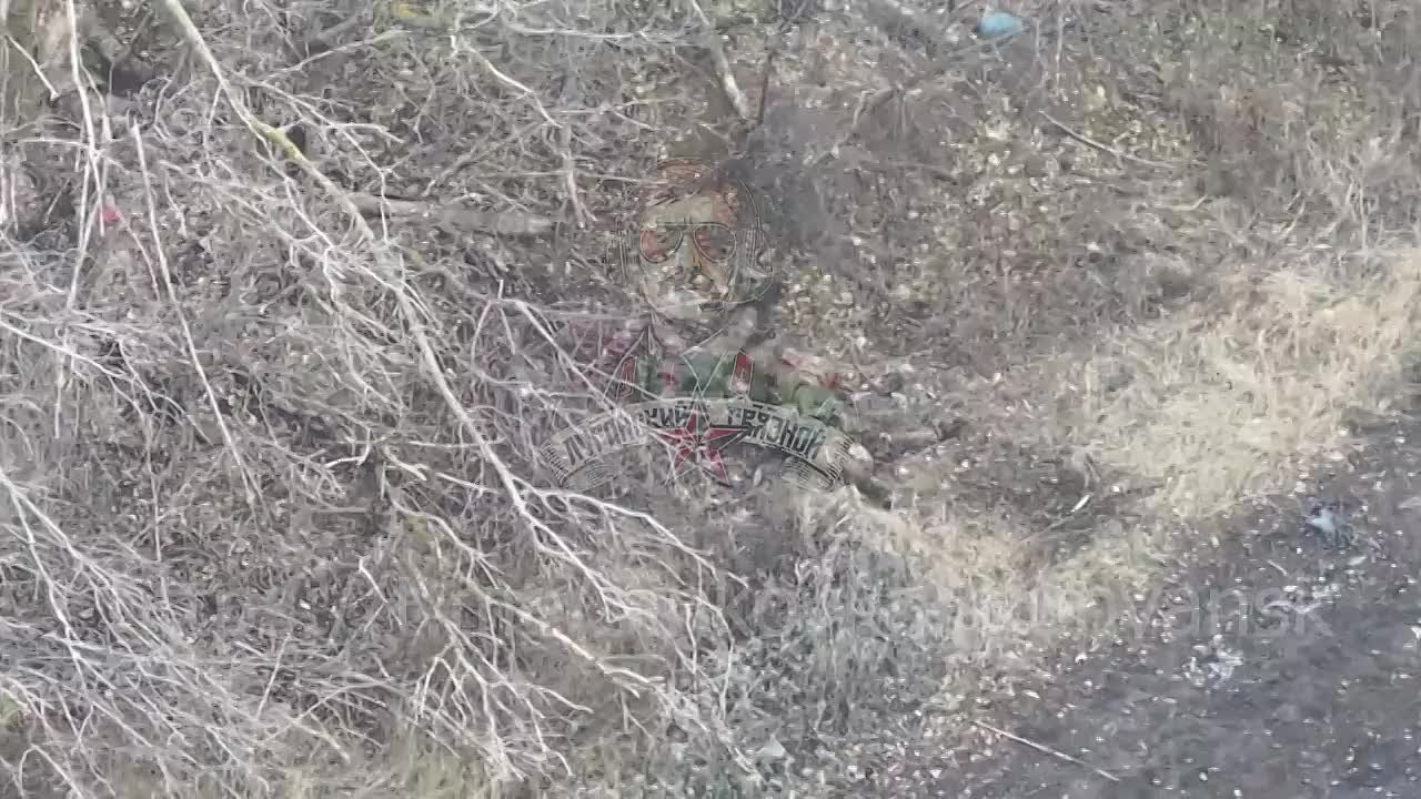 Уничтоженная в районе Купянска группа хохлов