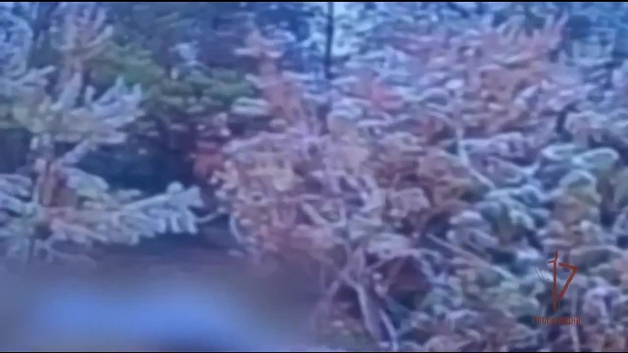 Уничтожение замаскированного орудия ВСУ: кадры работы бойцов «стальной» бригады Росгвардии на харьковском направлении