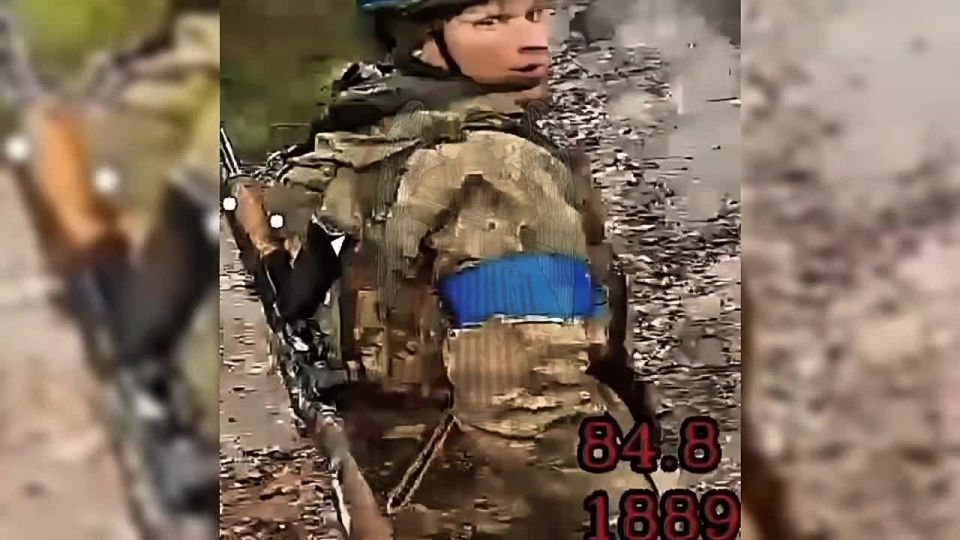 NEED FOR SPEED - ��������� �����