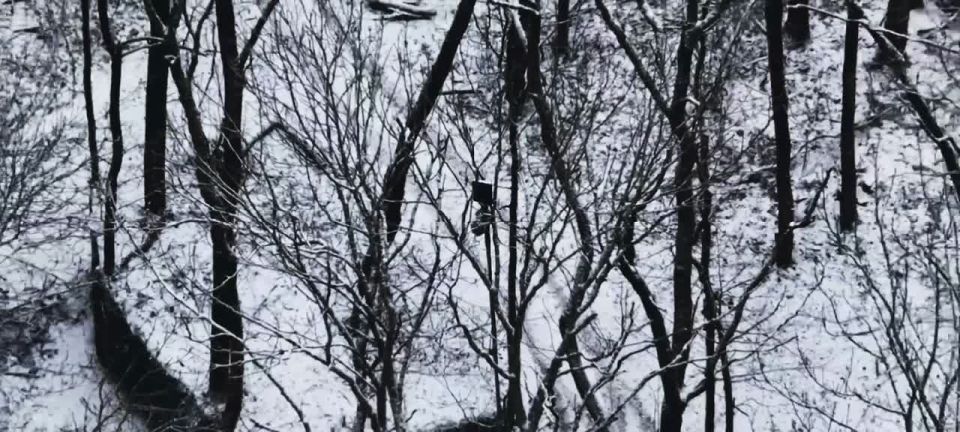 ������� ����� ��������� ������ ���������� ���� ���������� � ������ �.�. �������� ����������� �������