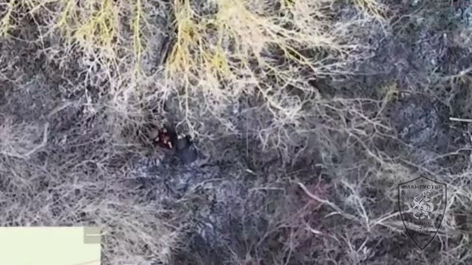 ������� ������: ������� �� �������� ��������� �����������: