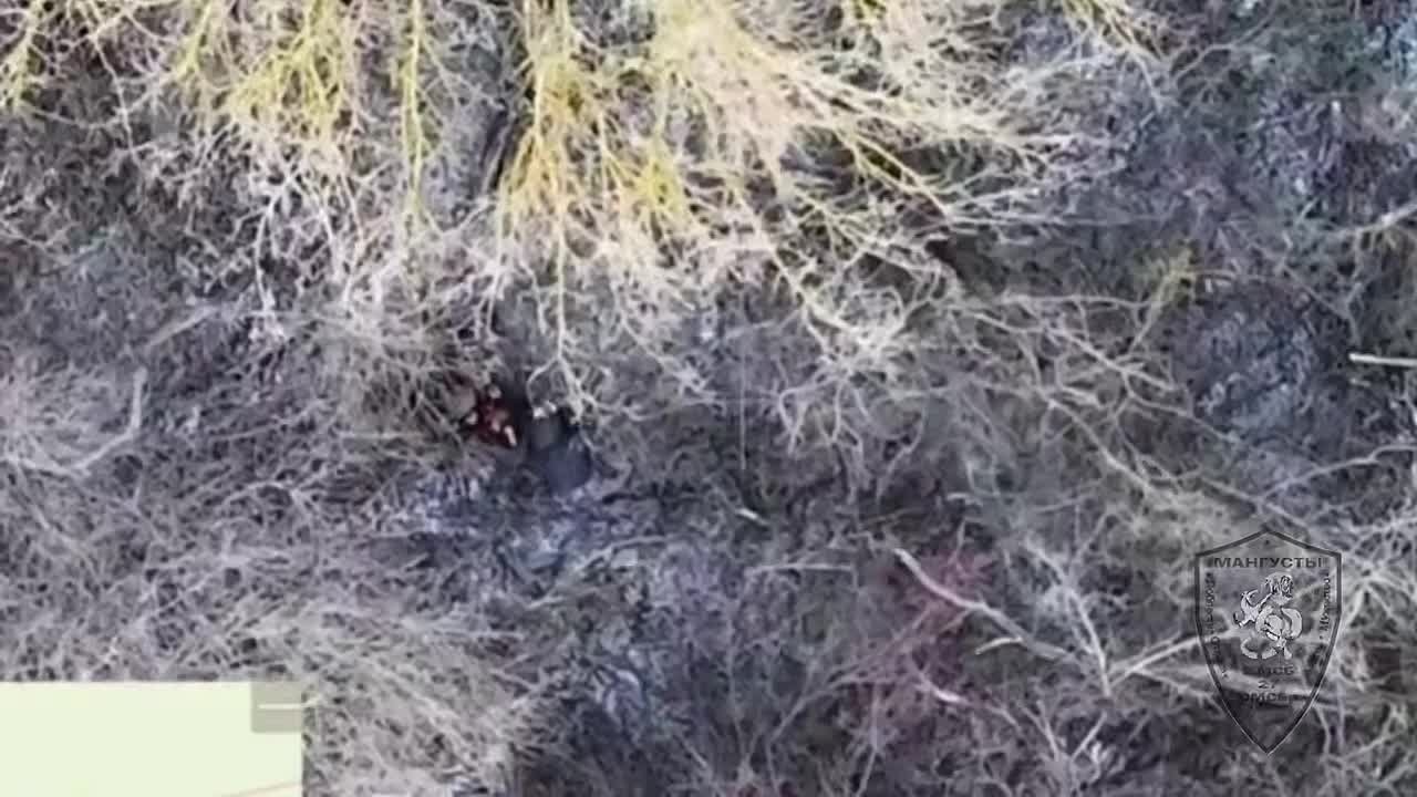 Дмитрий Стешин: История из Купянска достойная экранизации: