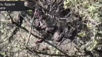 Удар дроном-камикадзе по всушникам, засевшим в многоэтажке на юге Купянска