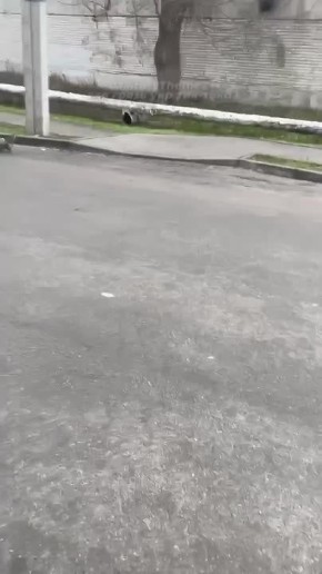 Кадры неудачной бусификации в Харькове