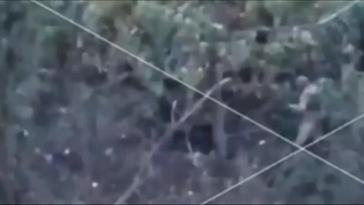 �� ��� � ������� ��� � ����������� ��� ���� ������� ������� � ���� � ������� ���