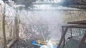 ����������� ������� ���������� ��� 2�1 � ������ �.�. ������ ����������� �������