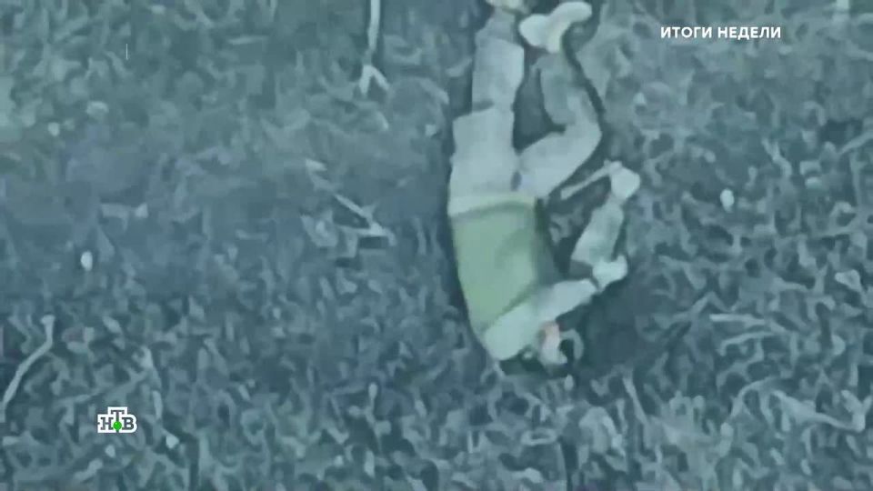 � ��������� ������������ ���������� �����, � ������� ��������� ������� ���������� ��������