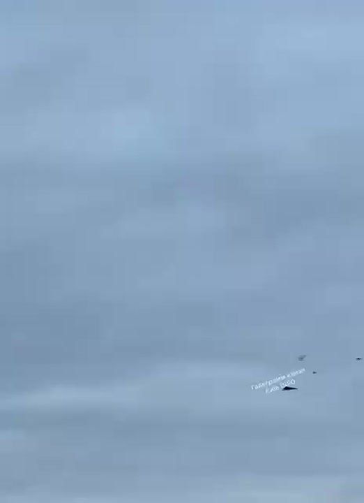 ������ � ������� ������� ����� ������ ������