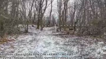 ����������� ������ ���������� ��� ��� � ������ �.�. ������ �������, ������������� �����