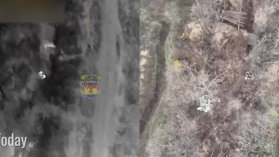 ��������� �����������. ����������� ����� ���� ����������