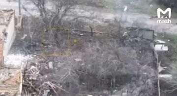 ��������� ������ � ����� ��� ����: ������� �������� �� �������� ���������� ������