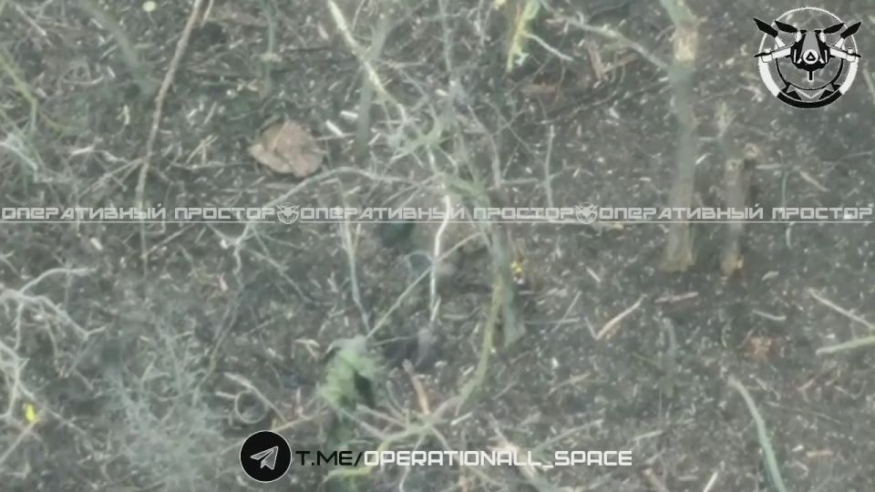 �������� ����� 6 ����� ������������ ������ ���������� ������ � ���������� �� ��������� �����������