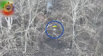 ���� ���������: ����������� ������������ ���� �Vampire�, ������������� � ���������� ����� ����������