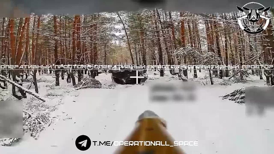 �������� ��� ���� ��������� �113 ��� �� ��������� �����������