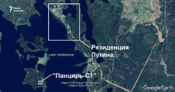 ��� ������: #������ �� ���� 30 ������� 2025 ����