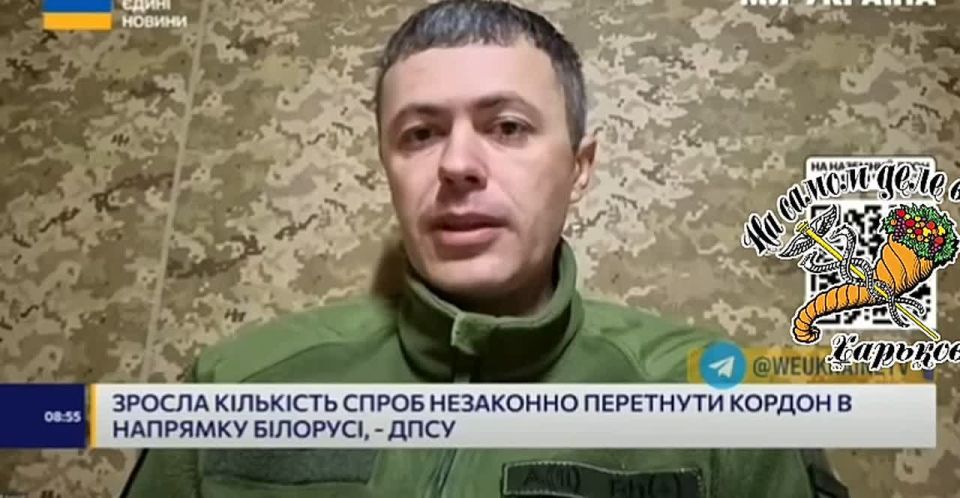 ������������ ������� ����� 2025 ����