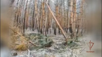 ����� ������: ������ ��������� ���� ���������� �� ��������� ������� �������