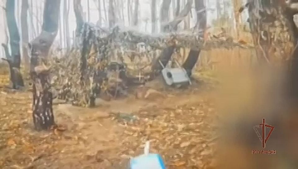 ��������� ���� ���������� ���������� ���������� ���� �� ����������� �����������