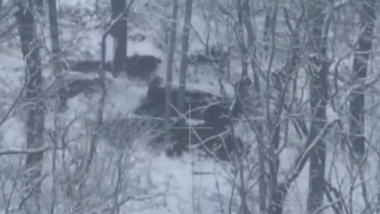 Евгений Поддубный: Подолы, что к юго-востоку от Купянска перешли под контроль российских вооружённых сил