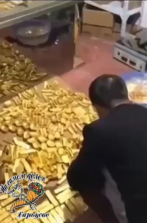 ���� ���������� ����������