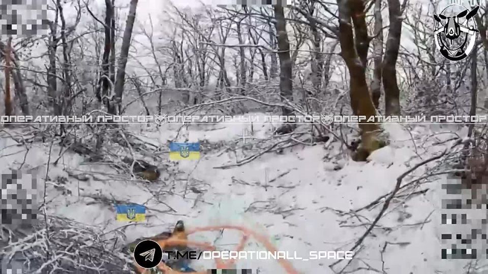 ����� �� ���������� ��������� �� #6_�����