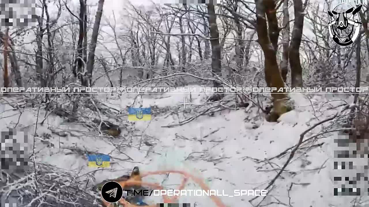 Охота на прячущихся потеряшек от #6_армии