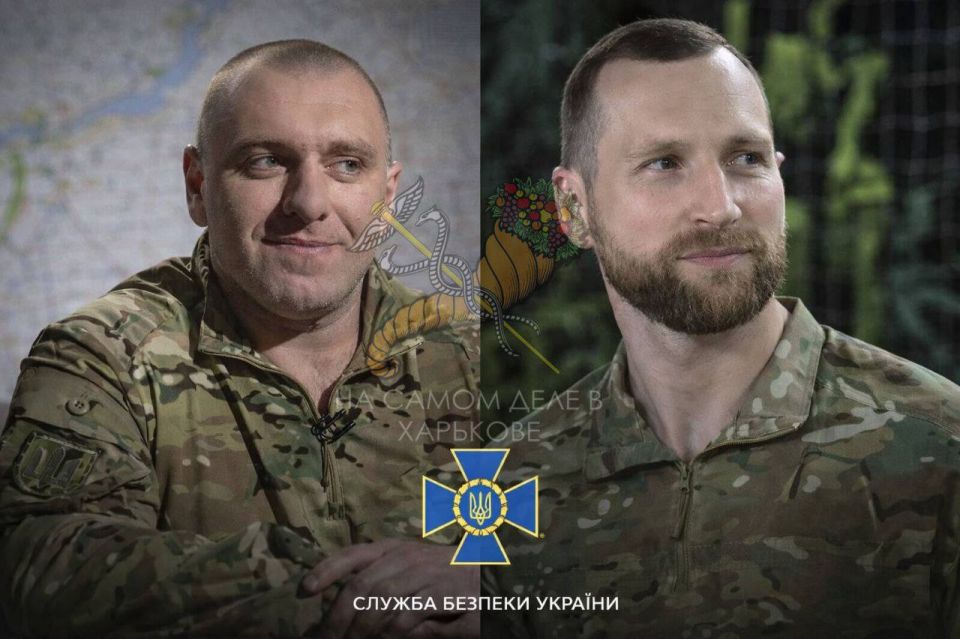 Ядовитые пауки в одной банке не уживаются Ядовитые пауки в одной банке не уживаются