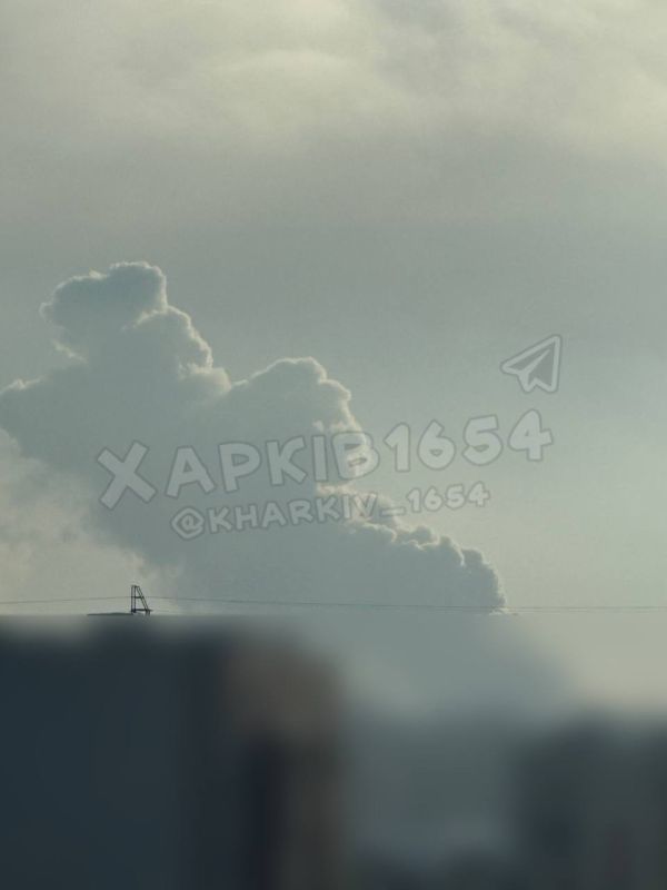 ������ ������ � ����� ���� � ��������