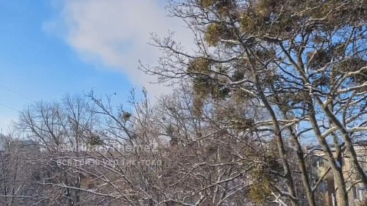 ���� ������� ����� �� ���-3 � �������� � ������� �������