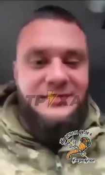 В Тернополе «беззащитные светлые эльфы», не стесняясь, на камеру сняли, как избивают, унижают и угрожают «ухилянту» расправой