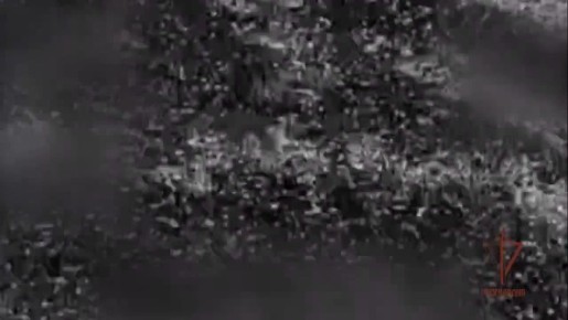 На харьковском направлении операторы БПЛА Росгвардии ликвидировали места размещения личного состава ВСУ