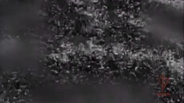 На харьковском направлении операторы БПЛА Росгвардии ликвидировали места размещения личного состава ВСУ