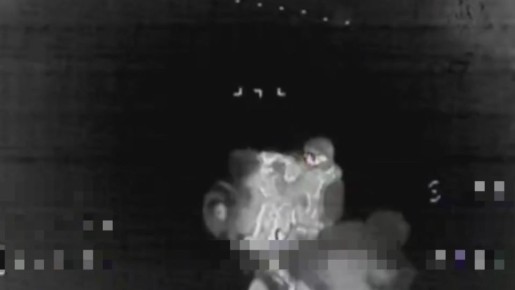 �� ������ ��� �������� ����������� ��� ������������ ������� �������� �����������, ��������� � ��������� �������������� �� ��. �� ������� ��������� ������� �������� �����-FPV, ����� �� "���" ��� ������ ����������