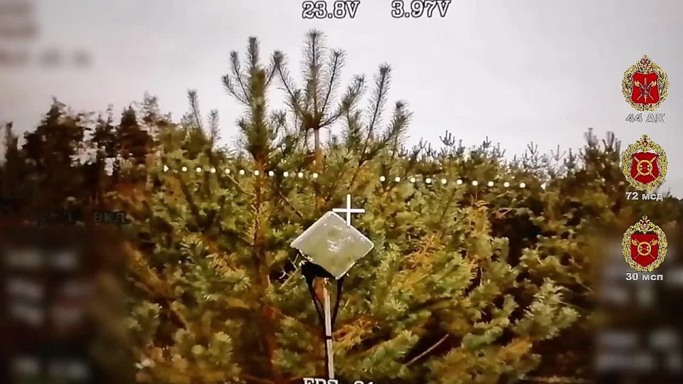 �������� ��� �����. ������� ������� ������ ���� 30 ��� 44 ���������� ������� ������ � ��������� �������-������������ ���� ���������� ��������