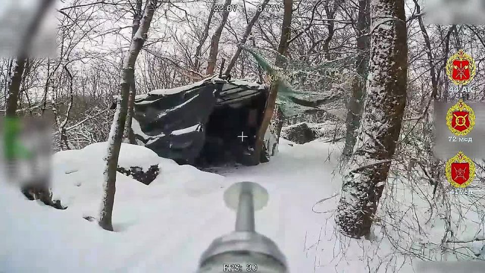 � ��������. ����������� ������� ������ ���� 41 ��� 44 ���������� ������� ��������� ��� ���, ���������������� ��� ���������� ���������� ������� ������� � �������� �����������