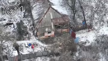 �������� ������������ ������� ���������� ���������� � ������������ �.�. ������ ����������� �������