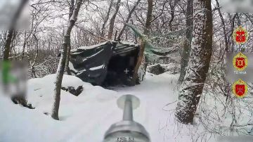 ����������� �������. ������ ���� 44 ���������� ������� ��������� ��� ���, ���������������� ��� ���������� ���������� ������� ������� � �������� �����������