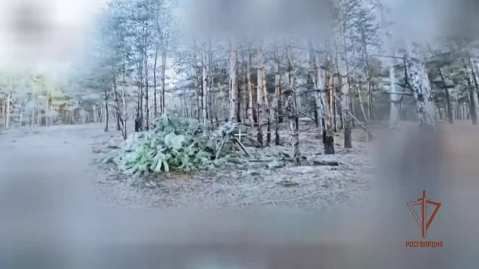 ��������� ���� ���������� ���������� ��������������� ������ ��� � ����������� �������