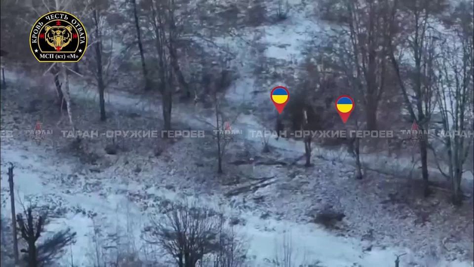 ����������� ������� ����������