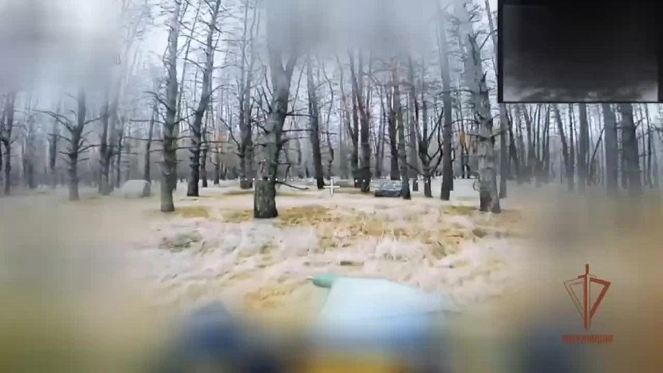 ������ ������ �� ����������� �����������: ������� ���� ��������� ������� ���������� ���������� ��������� � ������ ���