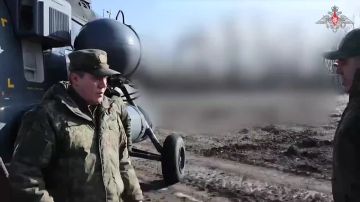 ������� ���������: ��������� �������� �� �� ���������������� ����������� ����� "�����" � �������� ������� ����������� 2-� � 51-� �������