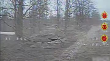 ������ ������. ����������� ������� ������ ���� 41 ��� 44 ���������� ������� ��������� ������� ������������