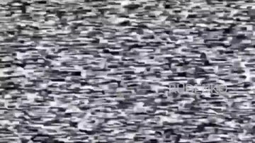 ������ �������: ����� ����������� ������ � ������� ����������� ����� ������ ������� ��� ������� ���������� �������� ����������� ������ ����� ����, �� � ������������ ������� � ��������� ������