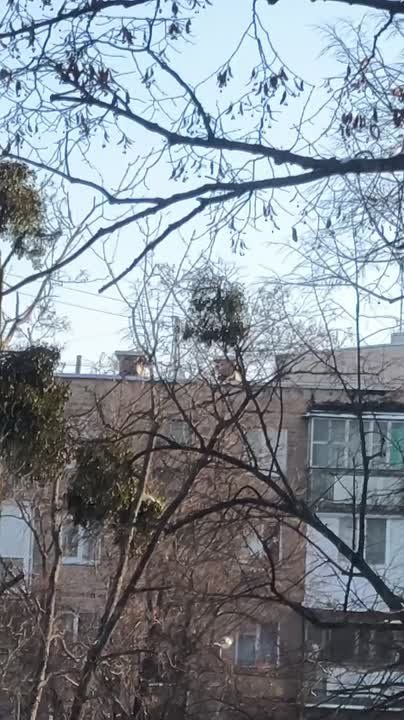 ���������� � �������� ���������� ����� �� ������� �������������� � �������������� ������ ��������